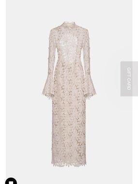 Delicate Long-Sleeve Lace Gown in Light Beige